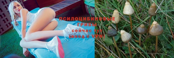 гашиш Балахна